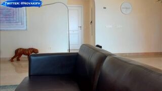 kepler_186f Video  3594 Seconds