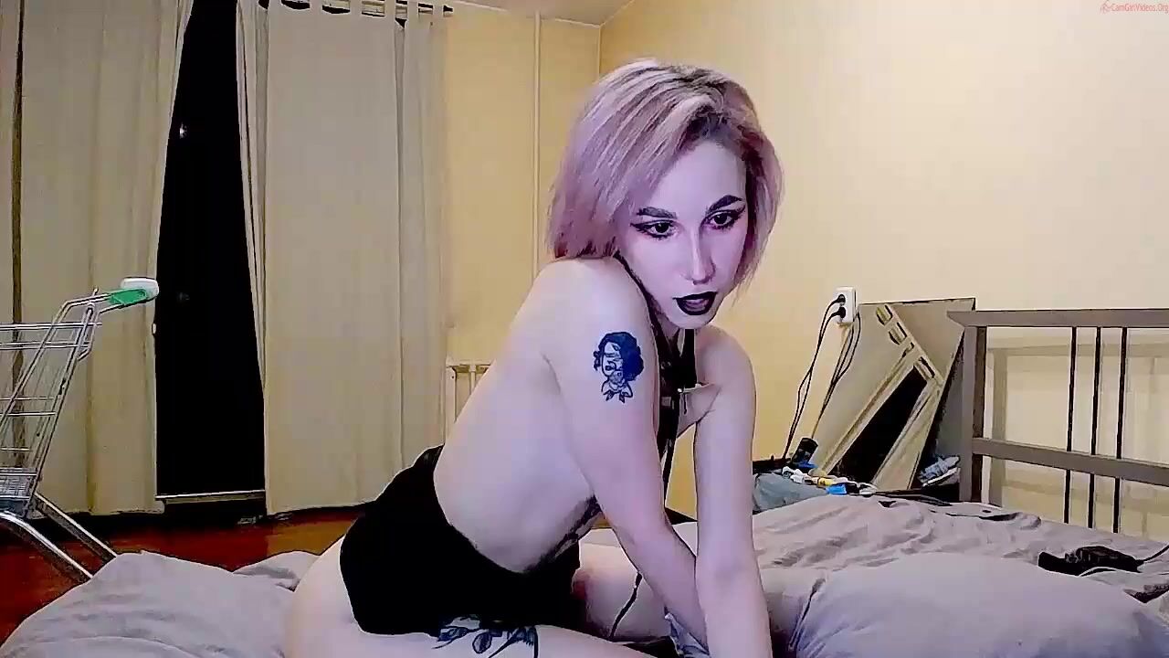 meowpink_cats Video 401 Seconds