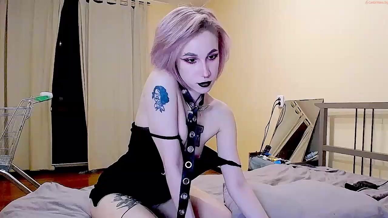 meowpink_cats Video 251 Seconds