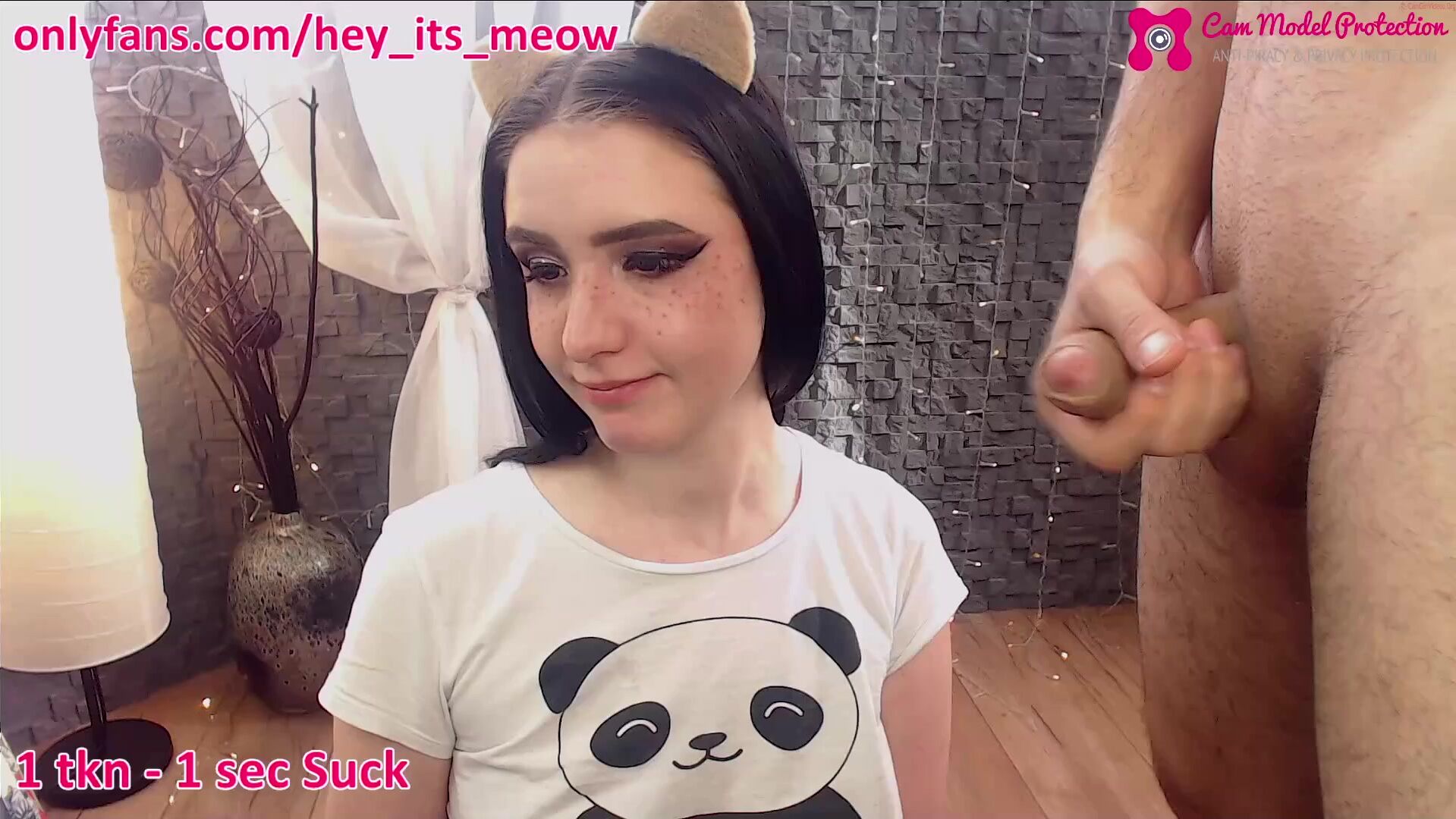 hey_its_meow Video  165 Seconds