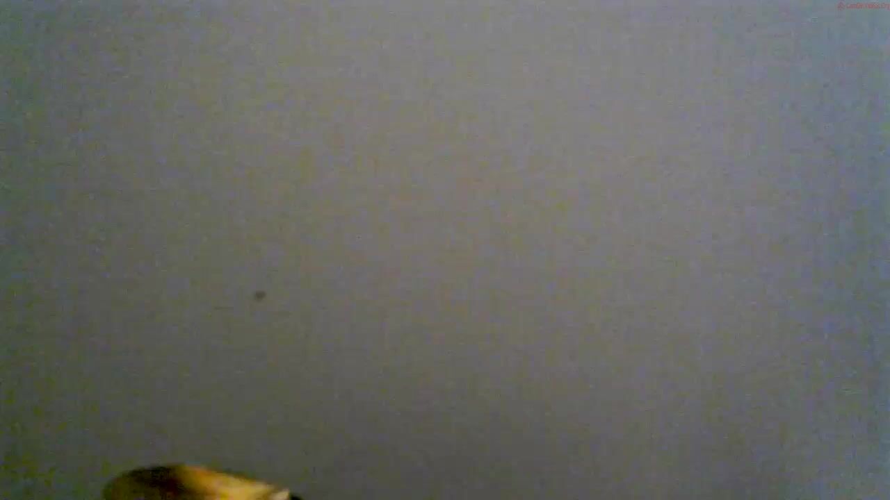 1001_nightsss Video 1158 Seconds