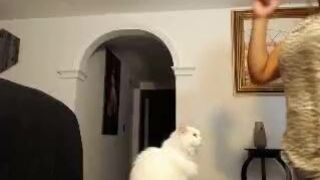 evacumalot Video  2371 Seconds