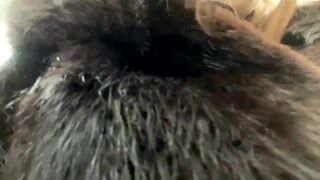 aettaocean Video  154 Seconds