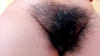 girasol_walton Video  423 Seconds