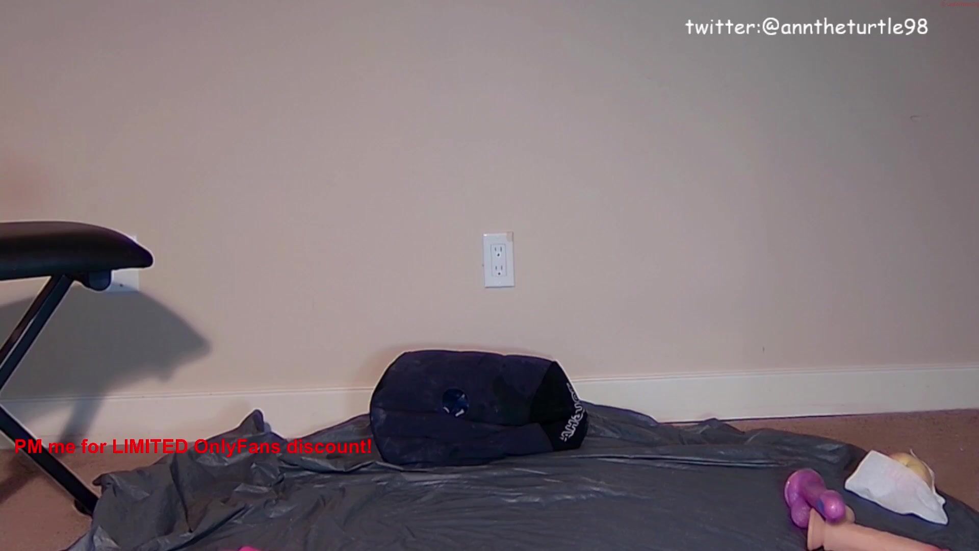 annturtle Video 3890 Seconds
