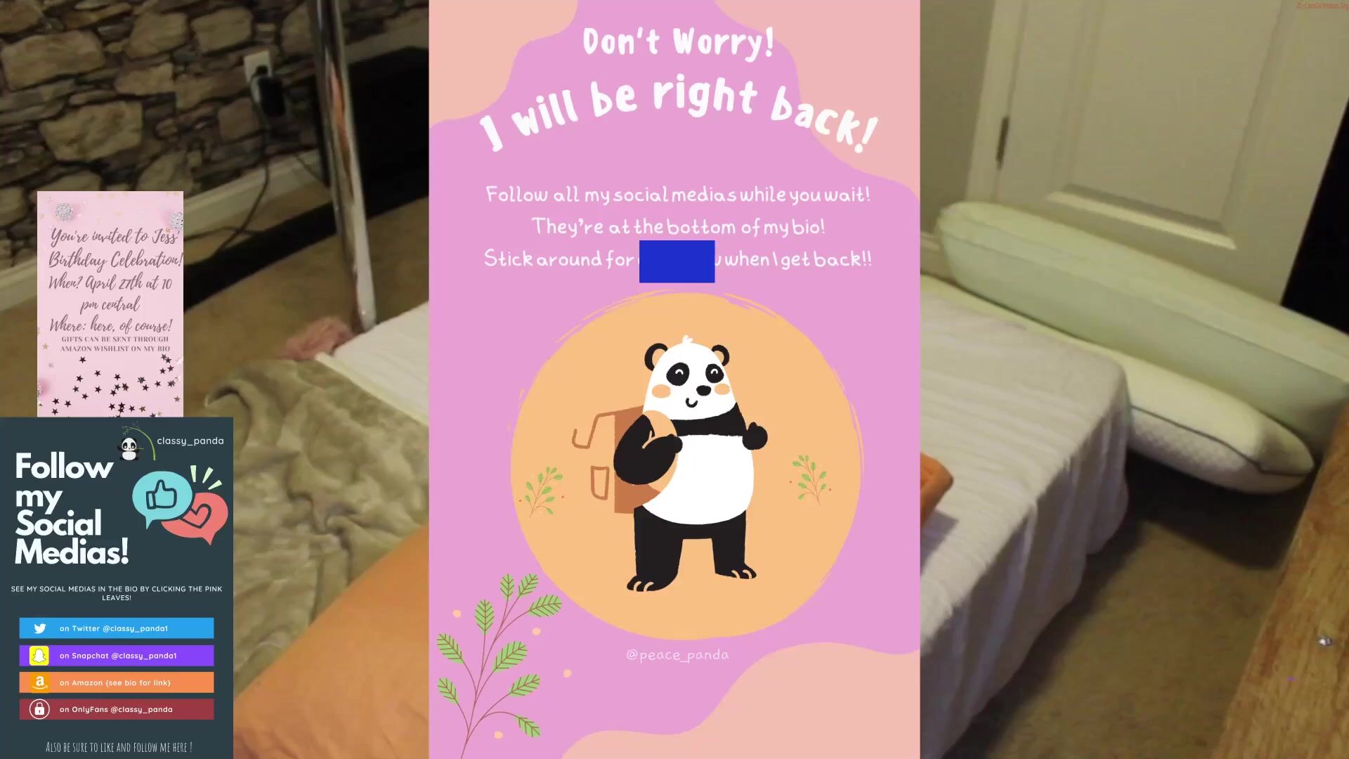 peace_panda Video 675 Seconds