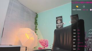 salomemontana Video  384 Seconds