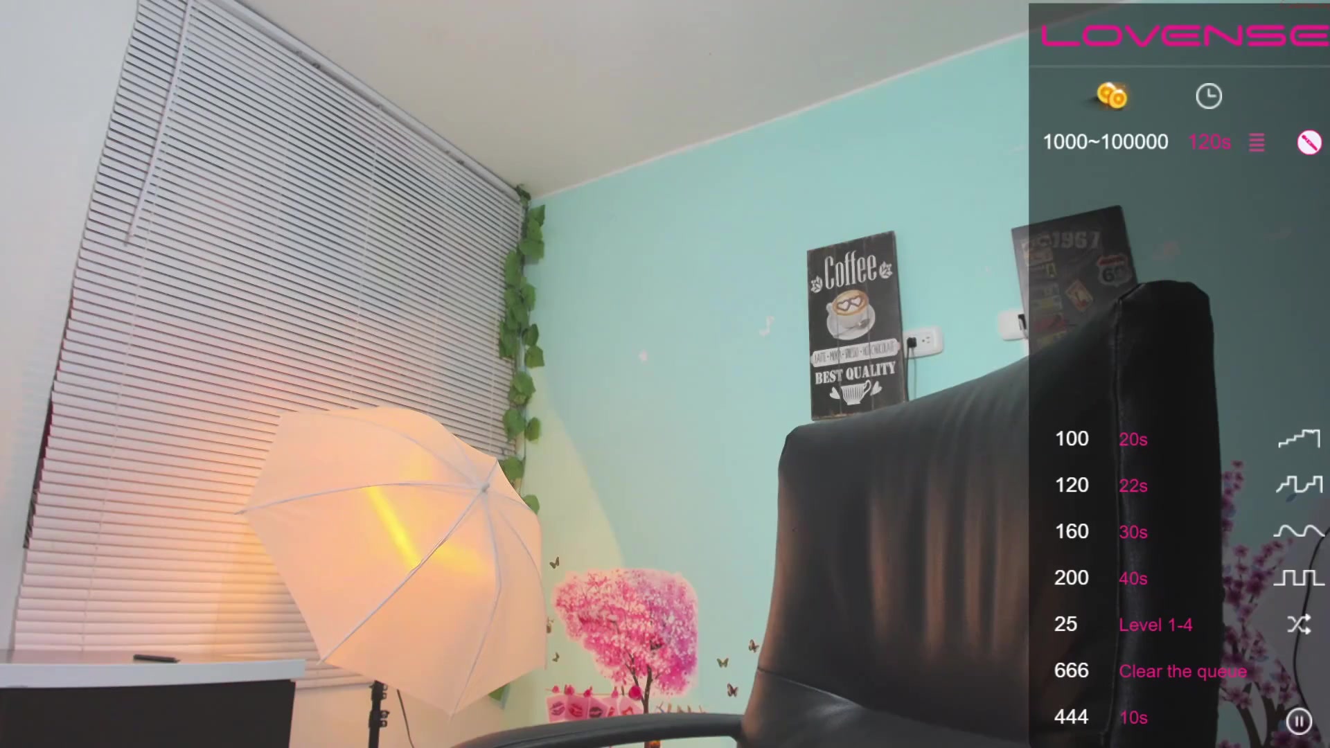 salomemontana Video 384 Seconds