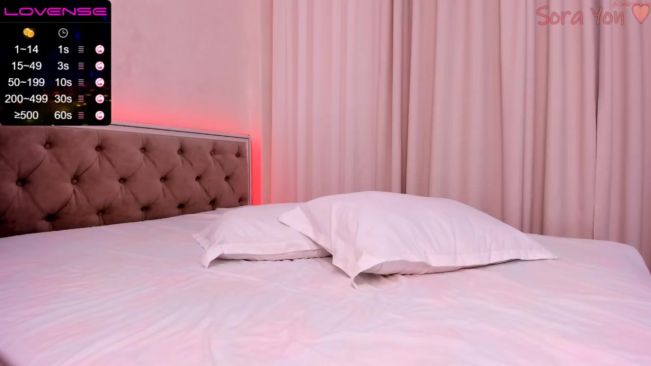 sora_yon Video 378 Seconds