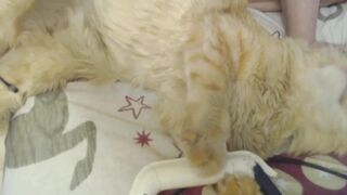 mila12000 Video  170 Seconds