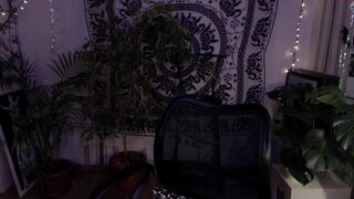 crystal_forest Video  531 Seconds