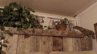 ailia_ Video  719 Seconds