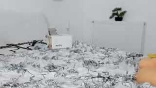 roses_are_red Video  1725 Seconds