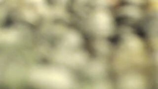 heidi_wow Video  1122 Seconds