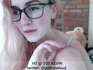 oddrosebud Video 1179 Seconds
