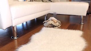 thebluelagoon Video  588 Seconds