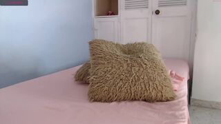 chicago_roa Video  393 Seconds