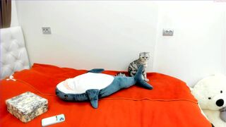 aiumy Video  1157 Seconds