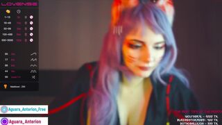 aguara_anterion Video  231 Seconds