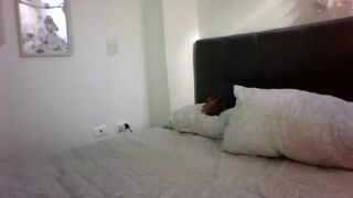 laurabigtits Video  544 Seconds