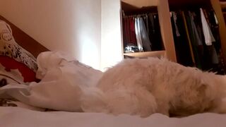 andrasweetie Video  975 Seconds