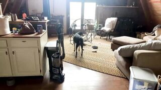 emersoncane - Private  Chaturbate Video bathroom gang hot-chicks-fucking Webcam