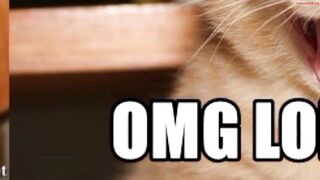 kathylovexxx - Private  Chaturbate Video money spy Webcam session video famosa