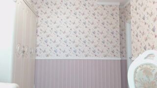 okay_google Video  904 Seconds