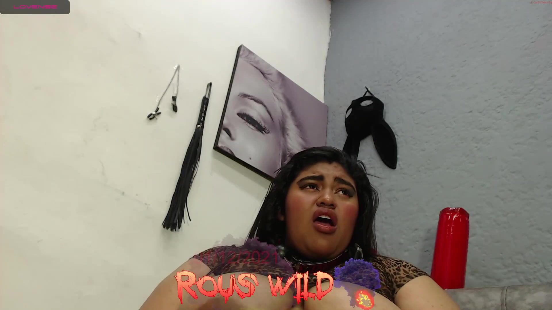 rous_wild Video  527 Seconds