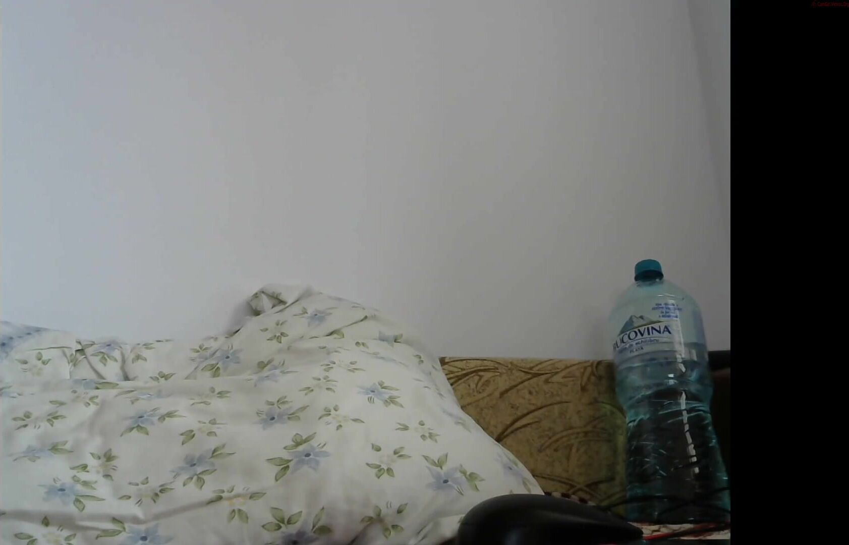 coolbonner Video 276 Seconds