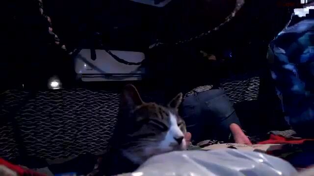 skooliesex Video 1233 Seconds