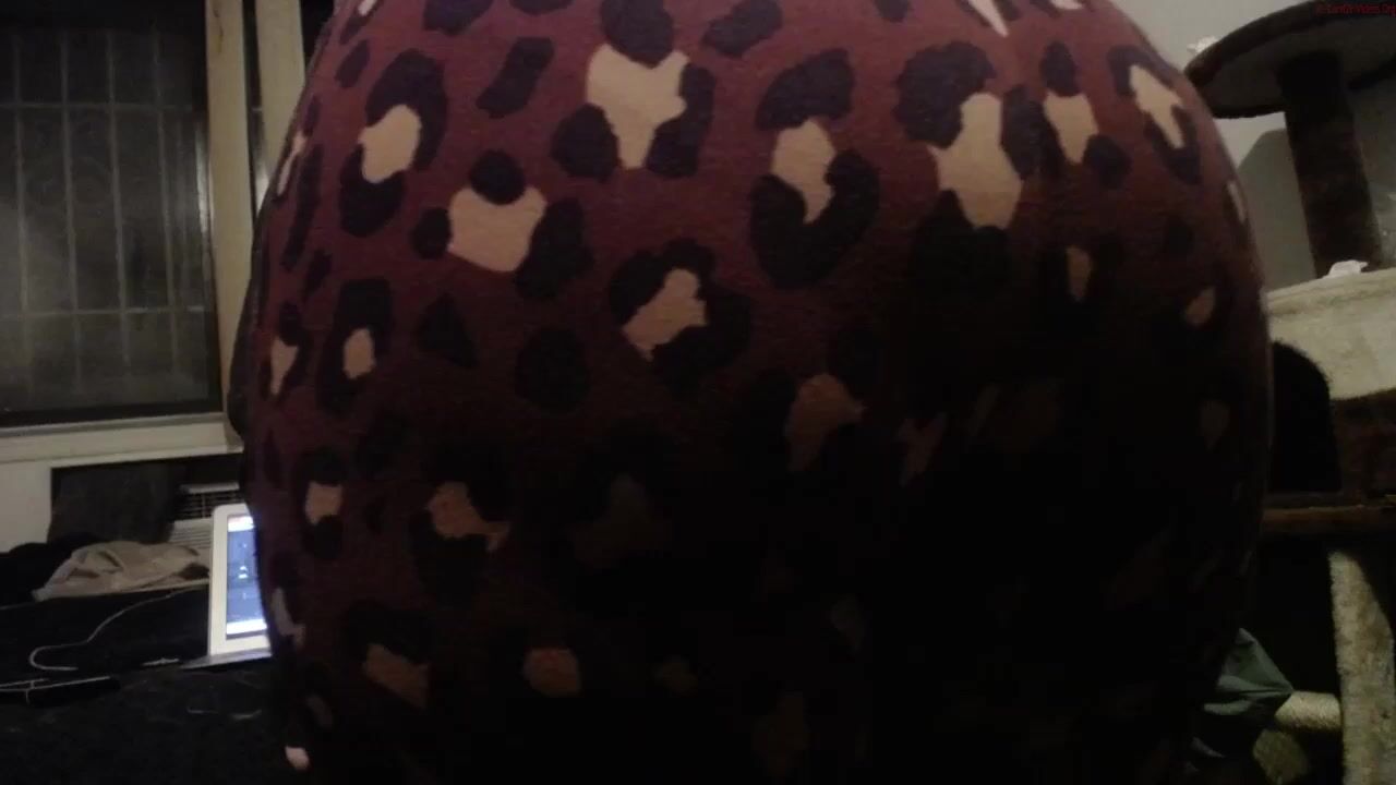 fairymysterious Video 1158 Seconds