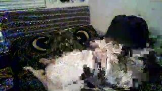 princesspumpkinbutt - [Chaturbate] Get Fucked Teases erotic